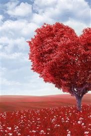 &quot;Flower Delivery Houston Online